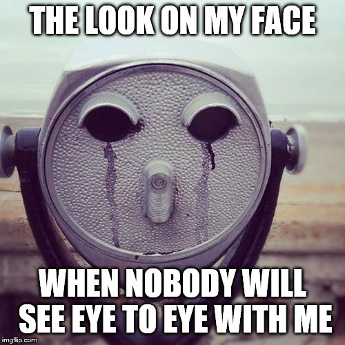 the look on my face | THE LOOK ON MY FACE; WHEN NOBODY WILL SEE EYE TO EYE WITH ME | image tagged in crying,face in object | made w/ Imgflip meme maker