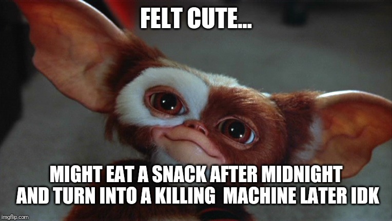FELT CUTE... MIGHT EAT A SNACK AFTER MIDNIGHT AND TURN INTO A KILLING  MACHINE LATER IDK | image tagged in gremlins,gizmo,cute | made w/ Imgflip meme maker