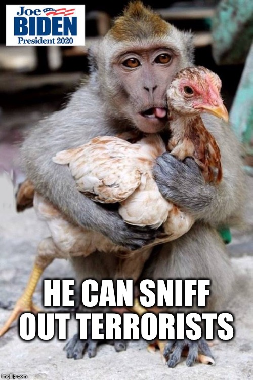 Biden | HE CAN SNIFF OUT TERRORISTS | image tagged in biden | made w/ Imgflip meme maker