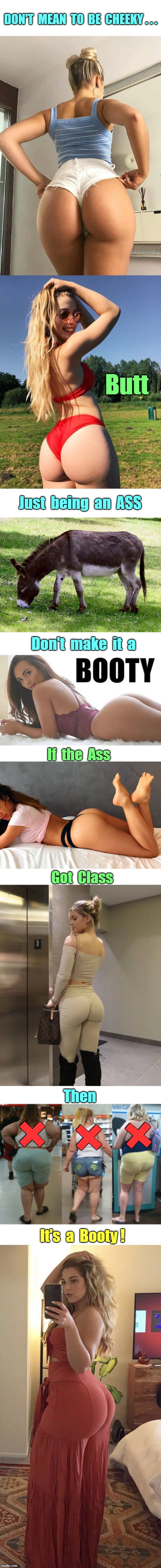Ass Class -- and Class Ass | DON'T  MEAN  TO  BE  CHEEKY . . . Butt; Just  being  an  ASS; Don't  make  it  a; If  the  Ass; Got  Class; Then; +; +; +; It's  a  Booty ! | image tagged in funny memes,booty,rick75230 | made w/ Imgflip meme maker