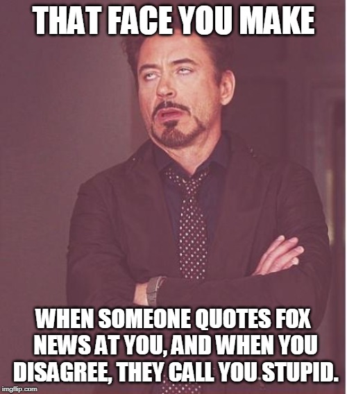 These Fox people lead such difficult, unsatisfying lives. | THAT FACE YOU MAKE; WHEN SOMEONE QUOTES FOX NEWS AT YOU, AND WHEN YOU DISAGREE, THEY CALL YOU STUPID. | image tagged in memes,face you make robert downey jr,fox news,fake news,maga,stupid | made w/ Imgflip meme maker