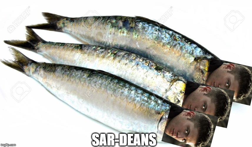 Sardine Dean. Excuse the sh!t quality. | SAR-DEANS | image tagged in sardine,dean winchester,supernatural | made w/ Imgflip meme maker