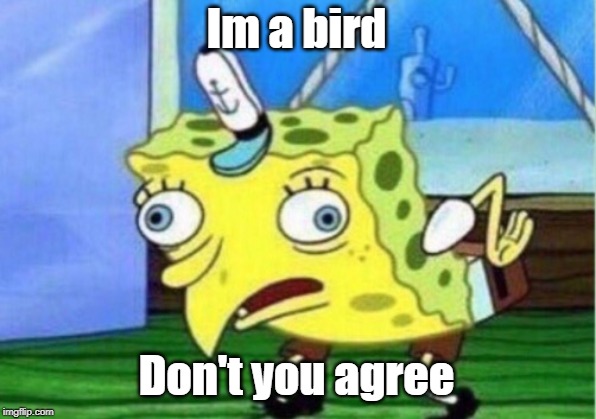 Mocking Spongebob Meme | Im a bird; Don't you agree | image tagged in memes,mocking spongebob | made w/ Imgflip meme maker