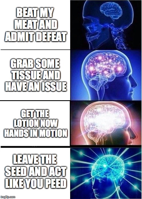Expanding Brain Meme | BEAT MY MEAT AND ADMIT DEFEAT; GRAB SOME TISSUE AND HAVE AN ISSUE; GET THE LOTION NOW HANDS IN MOTION; LEAVE THE SEED AND ACT LIKE YOU PEED | image tagged in memes,expanding brain | made w/ Imgflip meme maker