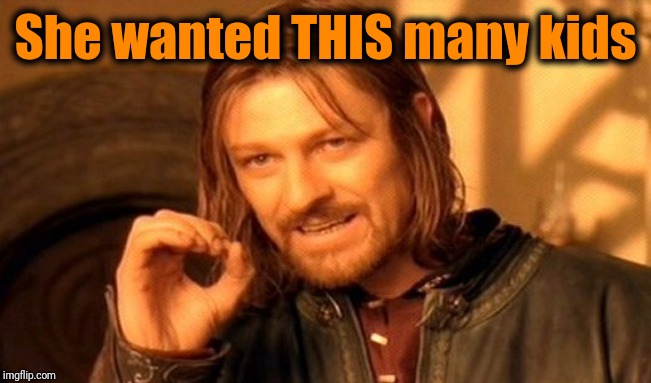 One Does Not Simply Meme | She wanted THIS many kids | image tagged in memes,one does not simply | made w/ Imgflip meme maker
