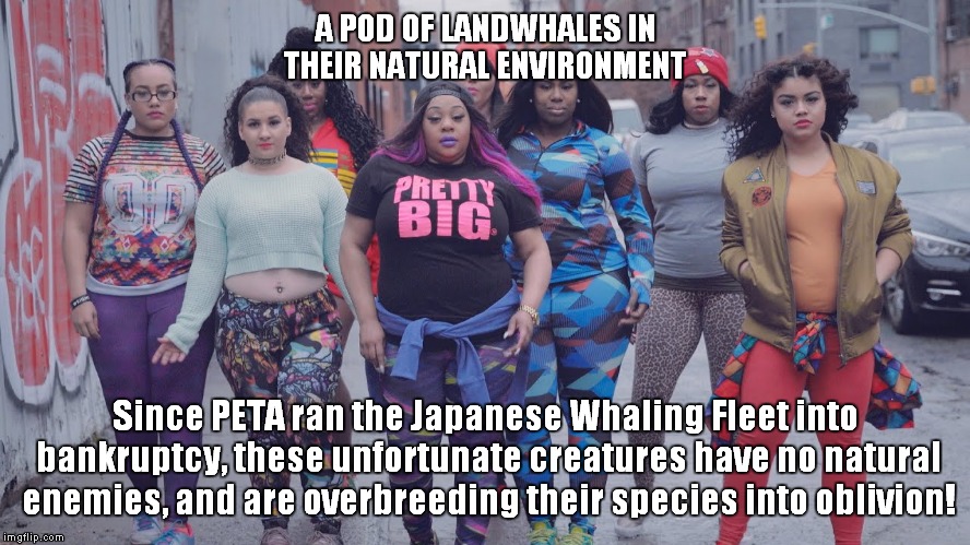 Damn them PETA-putzes! | A POD OF LANDWHALES IN THEIR NATURAL ENVIRONMENT; Since PETA ran the Japanese Whaling Fleet into bankruptcy, these unfortunate creatures have no natural enemies, and are overbreeding their species into oblivion! | image tagged in peta,landwhales | made w/ Imgflip meme maker