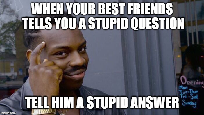 Roll Safe Think About It | WHEN YOUR BEST FRIENDS TELLS YOU A STUPID QUESTION; TELL HIM A STUPID ANSWER | image tagged in memes,roll safe think about it | made w/ Imgflip meme maker