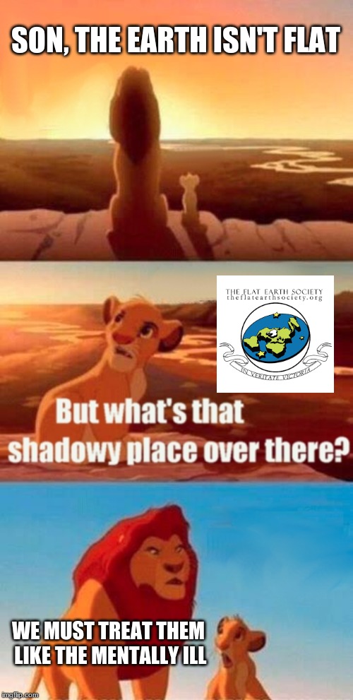 Simba Shadowy Place | SON, THE EARTH ISN'T FLAT; WE MUST TREAT THEM LIKE THE MENTALLY ILL | image tagged in memes,simba shadowy place | made w/ Imgflip meme maker