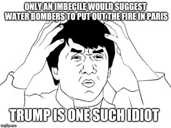 Jackie Chan WTF | ONLY AN IMBECILE WOULD SUGGEST WATER BOMBERS TO PUT OUT THE FIRE IN PARIS; TRUMP IS ONE SUCH IDIOT | image tagged in memes,jackie chan wtf | made w/ Imgflip meme maker