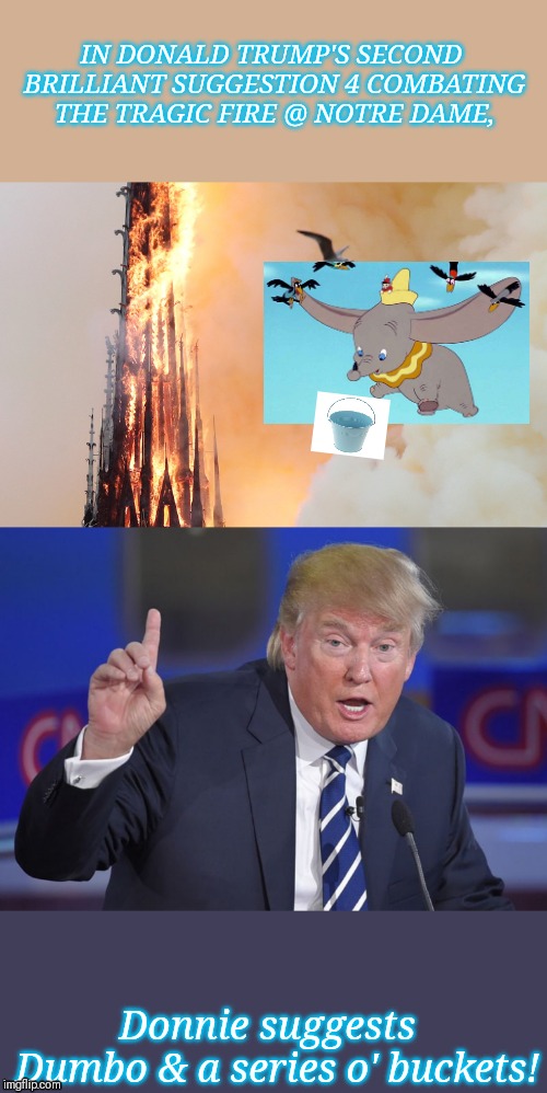 'Dumbo To The Rescue'- Inspired by Donald Trump's suggestion of water cannons,which would weaken heat stressed stones. | IN DONALD TRUMP'S SECOND BRILLIANT SUGGESTION 4 COMBATING THE TRAGIC FIRE @ NOTRE DAME, Donnie suggests  Dumbo & a series o' buckets! | image tagged in fire,donald trump approves,stupidity,arson | made w/ Imgflip meme maker