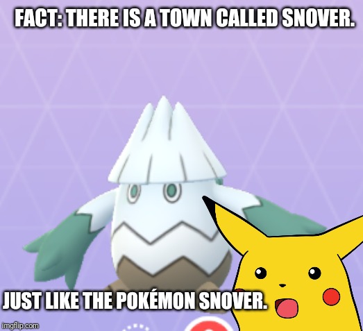 If you don't get it, the Pokémon in the middle is named Snover. | FACT: THERE IS A TOWN CALLED SNOVER. JUST LIKE THE POKÉMON SNOVER. | image tagged in pokemon,fact | made w/ Imgflip meme maker