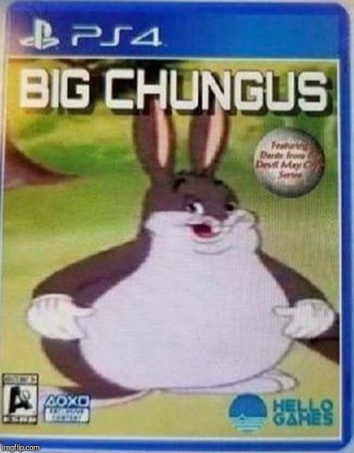 Big chungus | image tagged in big chungus | made w/ Imgflip meme maker