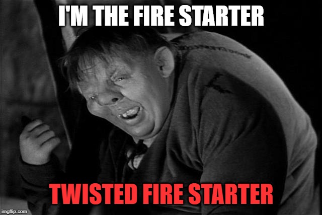 I'M THE FIRE STARTER; TWISTED FIRE STARTER | image tagged in notre dame | made w/ Imgflip meme maker