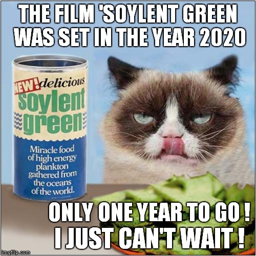 Grumpy Can't Wait for this Tasty Treat | THE FILM 'SOYLENT GREEN WAS SET IN THE YEAR 2020; ONLY ONE YEAR TO GO ! I JUST CAN'T WAIT ! | image tagged in cats,grumpy cat,grumpys special treat | made w/ Imgflip meme maker