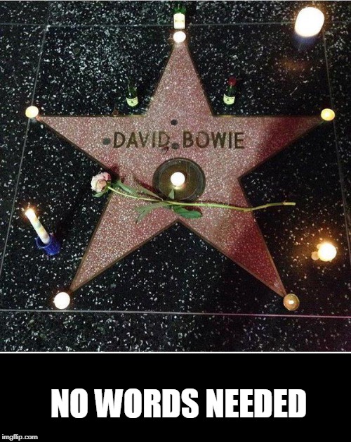 NO WORDS NEEDED | image tagged in david bowie,music | made w/ Imgflip meme maker