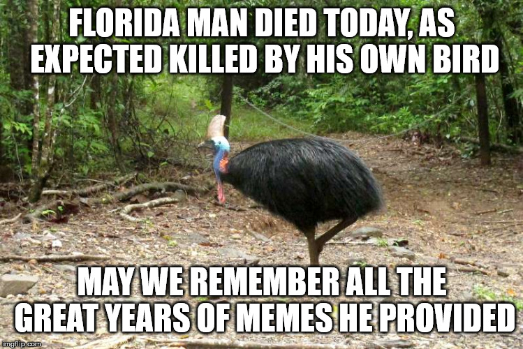 Florida man died | FLORIDA MAN DIED TODAY, AS EXPECTED KILLED BY HIS OWN BIRD; MAY WE REMEMBER ALL THE GREAT YEARS OF MEMES HE PROVIDED | image tagged in florida man | made w/ Imgflip meme maker