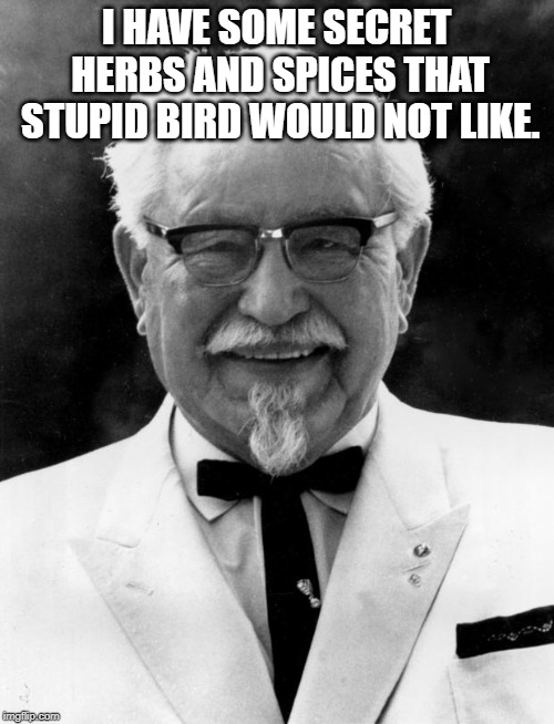 KFC Colonel Sanders | I HAVE SOME SECRET HERBS AND SPICES THAT STUPID BIRD WOULD NOT LIKE. | image tagged in kfc colonel sanders | made w/ Imgflip meme maker