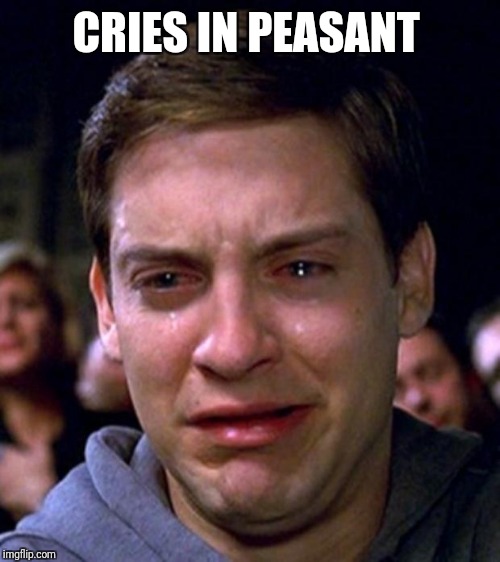 crying peter parker | CRIES IN PEASANT | image tagged in crying peter parker | made w/ Imgflip meme maker