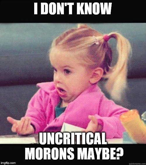 Dafuq Girl | I DON'T KNOW UNCRITICAL MORONS MAYBE? | image tagged in dafuq girl | made w/ Imgflip meme maker