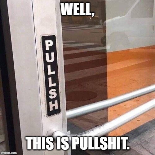 Pullshit | WELL, THIS IS PULLSHIT. | image tagged in fun | made w/ Imgflip meme maker