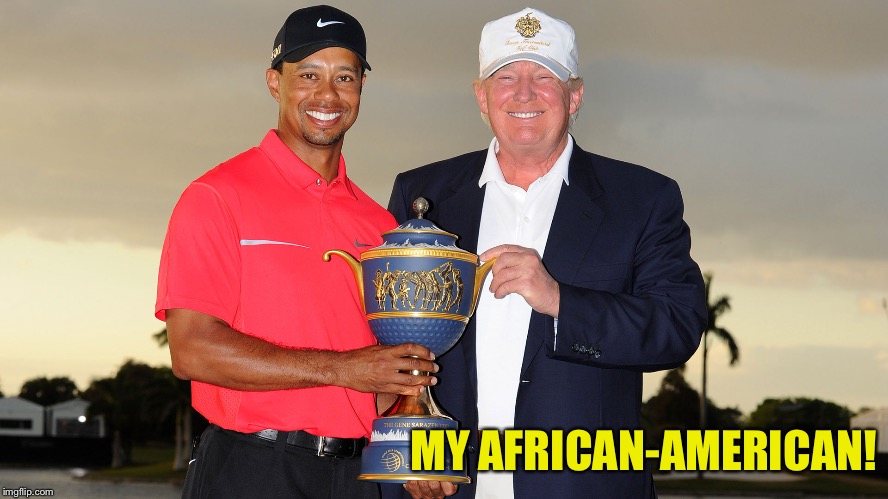 The Presidential Medal Of Freedom for winning a golf tournament | MY AFRICAN-AMERICAN! | image tagged in trump tiger woods | made w/ Imgflip meme maker