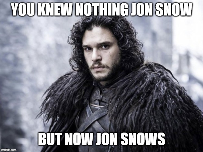 jon snow | YOU KNEW NOTHING JON SNOW; BUT NOW JON SNOWS | image tagged in jon snow | made w/ Imgflip meme maker