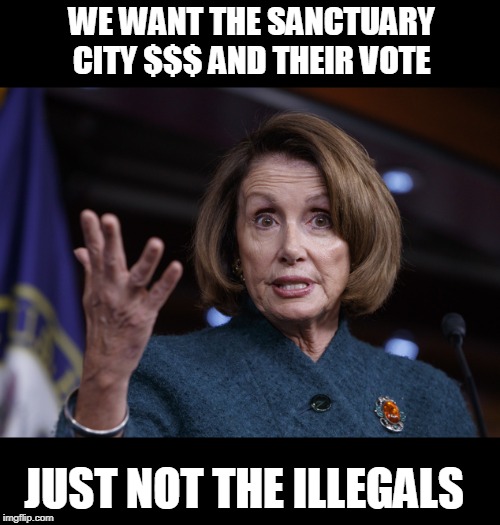 Good old Nancy Pelosi | WE WANT THE SANCTUARY CITY $$$ AND THEIR VOTE JUST NOT THE ILLEGALS | image tagged in good old nancy pelosi | made w/ Imgflip meme maker