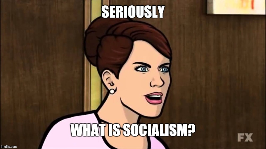 Cheryl/Carol from Archer | SERIOUSLY WHAT IS SOCIALISM? | image tagged in cheryl/carol from archer | made w/ Imgflip meme maker