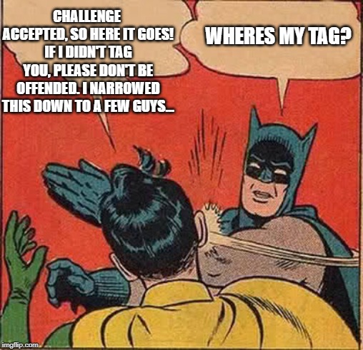 dont tag me bro | CHALLENGE ACCEPTED, SO HERE IT GOES! IF I DIDN'T TAG YOU, PLEASE DON'T BE OFFENDED. I NARROWED THIS DOWN TO A FEW GUYS... WHERES MY TAG? | image tagged in memes,batman slapping robin | made w/ Imgflip meme maker