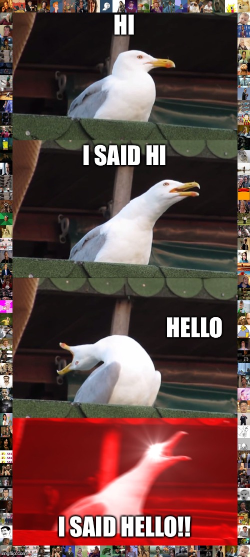 Inhaling Seagull | HI; I SAID HI; HELLO; I SAID HELLO!! | image tagged in memes,inhaling seagull | made w/ Imgflip meme maker