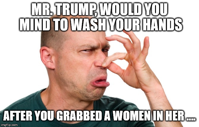 Eeeww | MR. TRUMP, WOULD YOU MIND TO WASH YOUR HANDS; AFTER YOU GRABBED A WOMEN IN HER .... | image tagged in eeeww | made w/ Imgflip meme maker