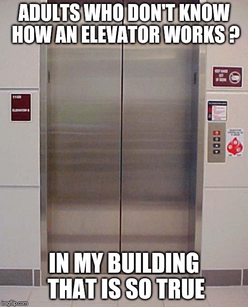 elevator lift 123 | ADULTS WHO DON'T KNOW HOW AN ELEVATOR WORKS ? IN MY BUILDING THAT IS SO TRUE | image tagged in elevator lift 123 | made w/ Imgflip meme maker