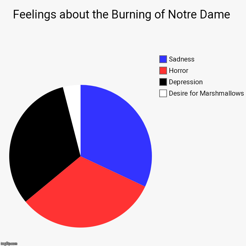 Christianity is more than a building, but praying for Paris all the same! | Feelings about the Burning of Notre Dame | Desire for Marshmallows, Depression, Horror, Sadness | image tagged in charts,pie charts,funny memes,marshmallow,notre dame,fire | made w/ Imgflip chart maker