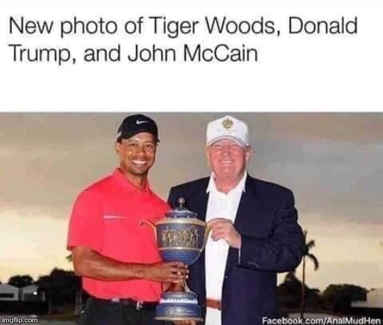 Tiger, Trump and John | image tagged in funny,politics,trump,tiger woods | made w/ Imgflip meme maker