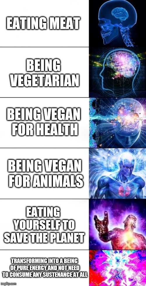 Brain Expansion | EATING MEAT; BEING VEGETARIAN; BEING VEGAN FOR HEALTH; BEING VEGAN FOR ANIMALS; EATING YOURSELF TO SAVE THE PLANET; TRANSFORMING INTO A BEING OF PURE ENERGY AND NOT NEED TO CONSUME ANY SUSTENANCE AT ALL | image tagged in mega brain expansion,expanding brain | made w/ Imgflip meme maker