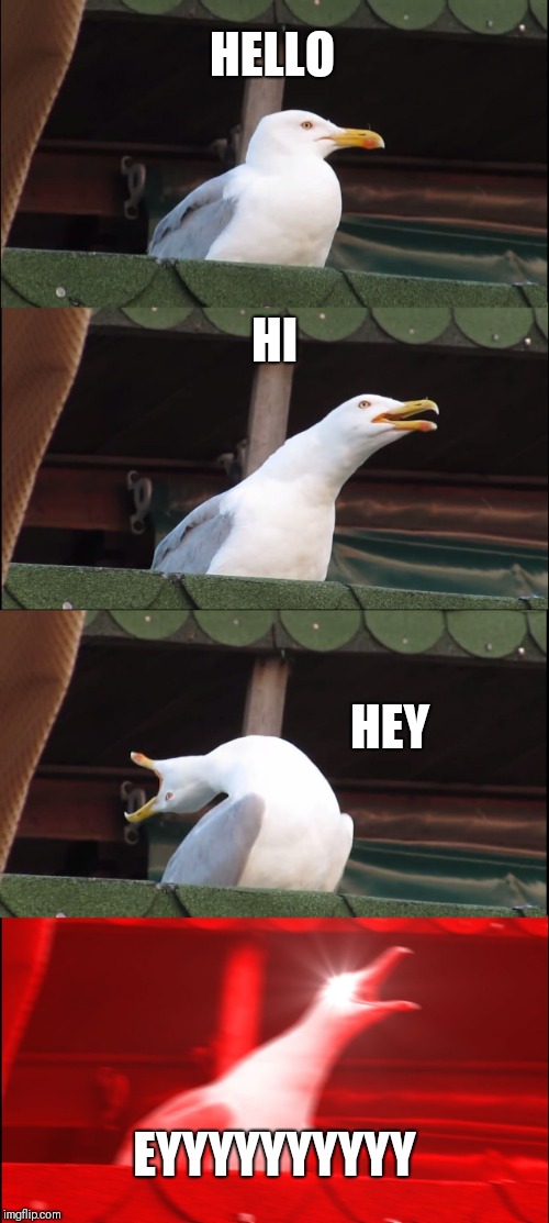 Inhaling Seagull Meme | HELLO; HI; HEY; EYYYYYYYYYY | image tagged in memes,inhaling seagull | made w/ Imgflip meme maker