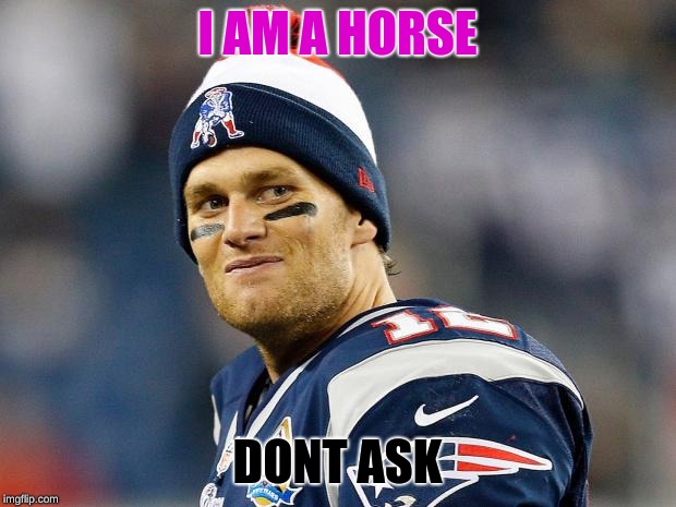 Tom Brady | I AM A HORSE; DONT ASK | image tagged in tom brady | made w/ Imgflip meme maker