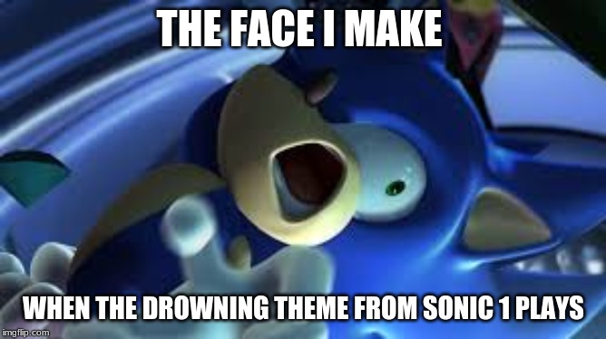 Sonic is TRIGERRED | THE FACE I MAKE; WHEN THE DROWNING THEME FROM SONIC 1 PLAYS | image tagged in sonic is trigerred | made w/ Imgflip meme maker