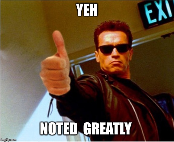 Schwarzenegger thumbs up | YEH NOTED  GREATLY | image tagged in schwarzenegger thumbs up | made w/ Imgflip meme maker