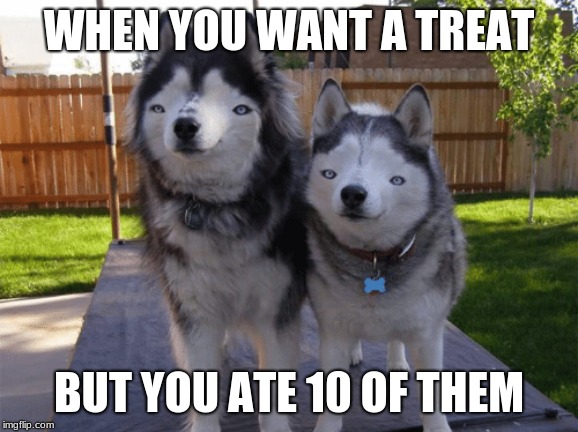 Those Guys.... | WHEN YOU WANT A TREAT; BUT YOU ATE 10 OF THEM | image tagged in those guys | made w/ Imgflip meme maker