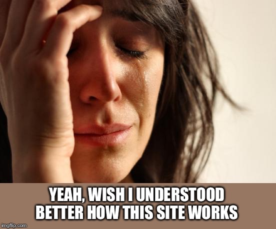 First World Problems Meme | YEAH, WISH I UNDERSTOOD BETTER HOW THIS SITE WORKS | image tagged in memes,first world problems | made w/ Imgflip meme maker