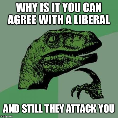 Philosoraptor Meme | WHY IS IT YOU CAN AGREE WITH A LIBERAL; AND STILL THEY ATTACK YOU | image tagged in memes,philosoraptor | made w/ Imgflip meme maker