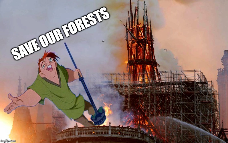 Quasimodo brule | SAVE OUR FORESTS | image tagged in quasimodo brule | made w/ Imgflip meme maker