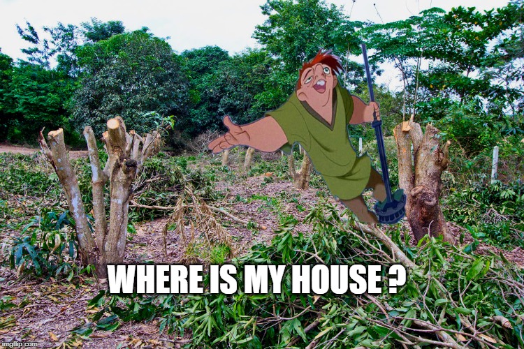 Quasimodo in the forest | WHERE IS MY HOUSE ? | image tagged in quasimodo in the forest | made w/ Imgflip meme maker