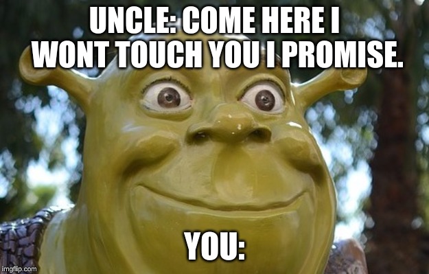 UNCLE: COME HERE I WONT TOUCH YOU I PROMISE. YOU: | made w/ Imgflip meme maker