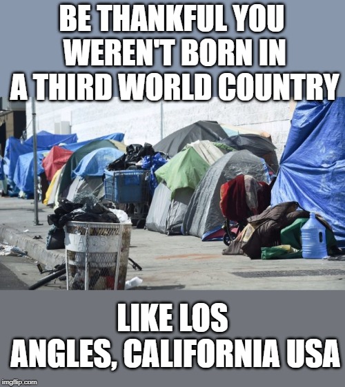 Another successful Democrat enclave. | BE THANKFUL YOU WEREN'T BORN IN A THIRD WORLD COUNTRY; LIKE LOS ANGLES, CALIFORNIA USA | image tagged in tent city | made w/ Imgflip meme maker