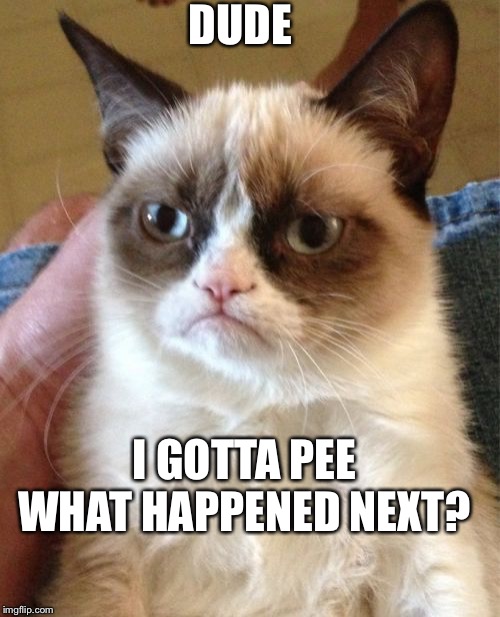 Grumpy Cat | DUDE; I GOTTA PEE WHAT HAPPENED NEXT? | image tagged in memes,grumpy cat | made w/ Imgflip meme maker