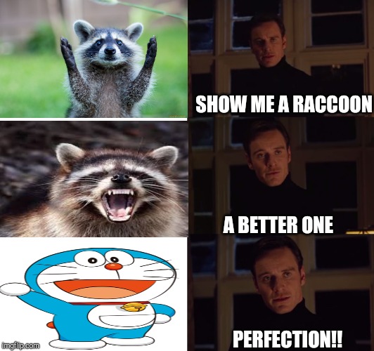 perfection | SHOW ME A RACCOON; A BETTER ONE; PERFECTION!! | image tagged in perfection | made w/ Imgflip meme maker
