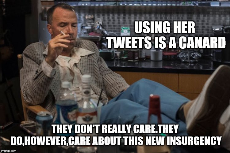 USING HER TWEETS IS A CANARD THEY DON'T REALLY CARE.THEY DO,HOWEVER,CARE ABOUT THIS NEW INSURGENCY | made w/ Imgflip meme maker