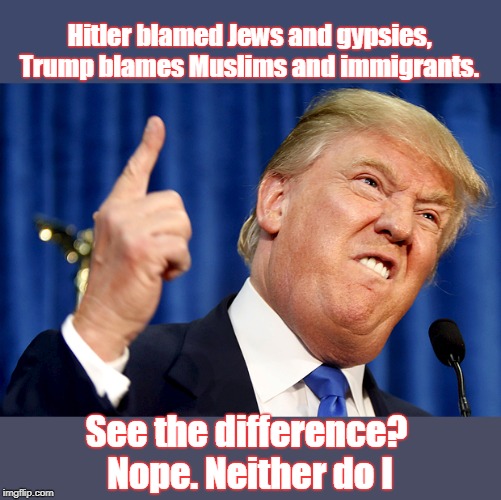 Donny admires dictators and wants to be one | Hitler blamed Jews and gypsies, Trump blames Muslims and immigrants. See the difference? Nope. Neither do I | image tagged in donald trump,hitler,dictator,scapegoats muslims and immigrants,vengeance is mine says the lord in romans chapt 12 verse 19,hate  | made w/ Imgflip meme maker